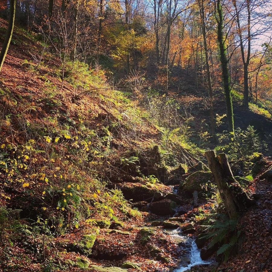 Sankt Johann im Saggautal Gaestehaus Schmid מראה חיצוני תמונה