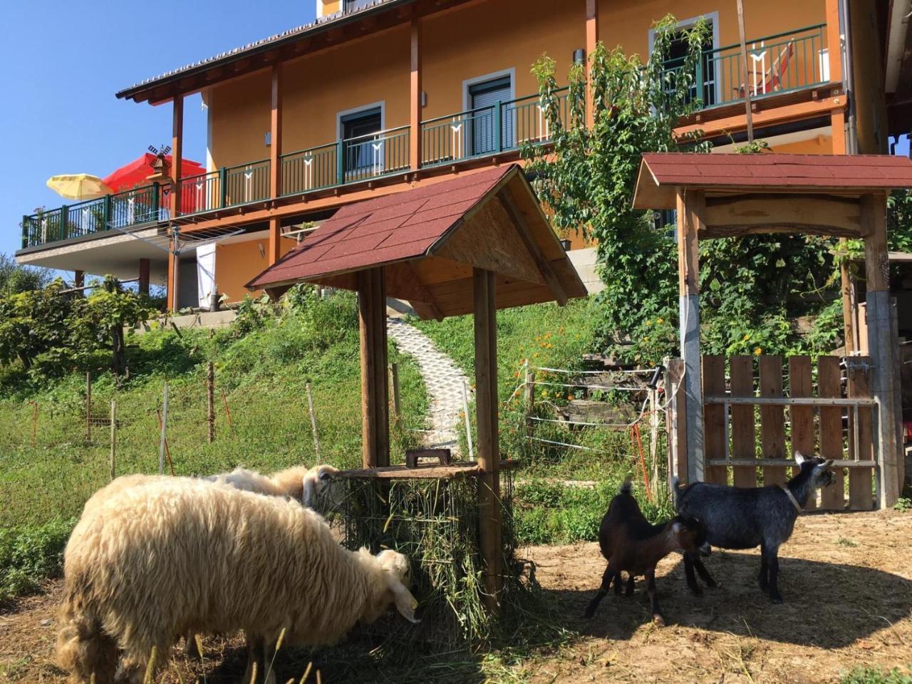 Sankt Johann im Saggautal Gaestehaus Schmid מראה חיצוני תמונה